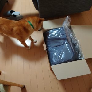 ベッドを破壊する柴犬にジェントルリーマペットベッドを購入しました│柴犬と暮らすということ