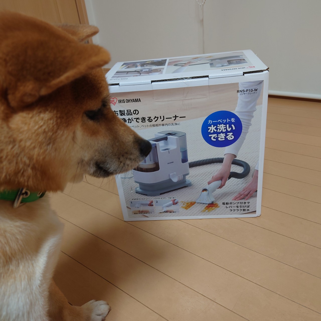 布製品汚れの切り札、アイリスオーヤマのリンサークリーナー│柴犬と