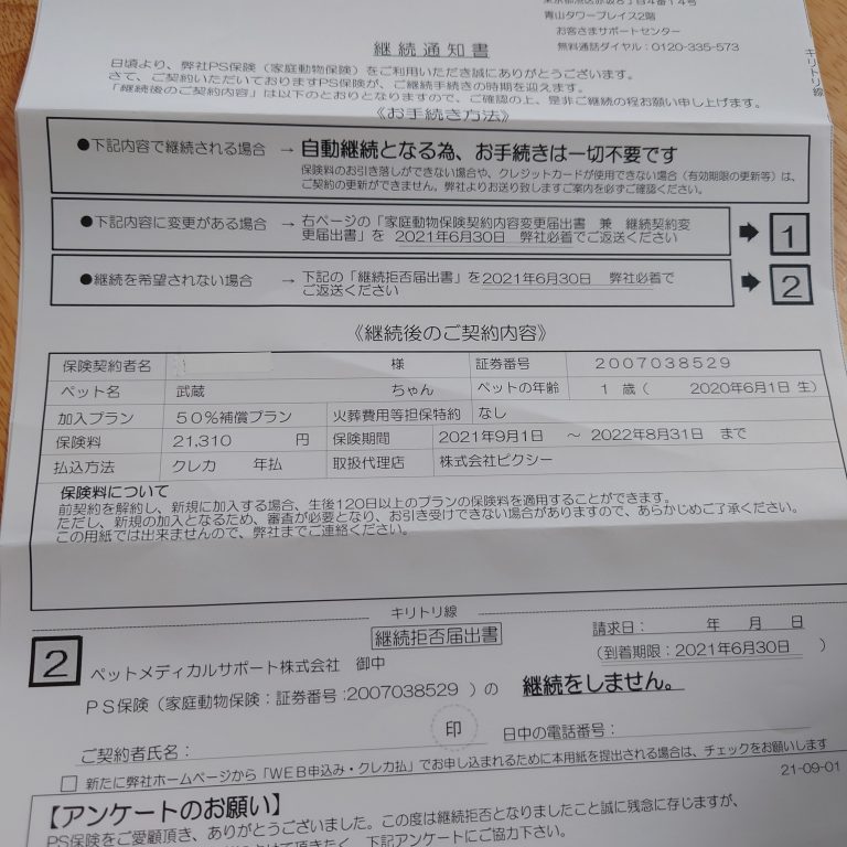 Ps保険を継続するかを考える 柴犬と暮らすということ